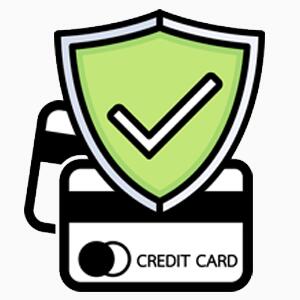 100% secure online payment
